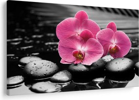 Kép - Rózsaszín orchideák (90x60 cm)