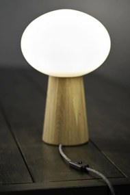 Markslojd PATER 108409 Asztali lámpa 1x60W/E27 IP20