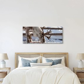 Kép - Sat (120x50 cm)