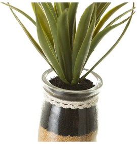 Műnövény szett 4 db-os (magasság 18 cm) Cactus – Casa Selección