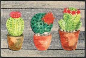 Kaktusz beltéri lábtörlő