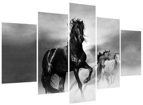Ló képe (150x105 cm)
