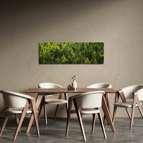 Kép - sűrű erdő (órával) (90x30 cm)