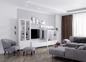 Vitrin 2W2S, fehér, OLJE