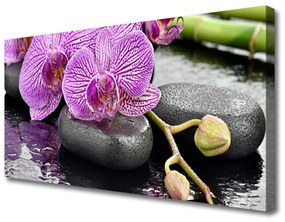 Canvas kép Orchidea Orchidea Zen Spa 100x50 cm