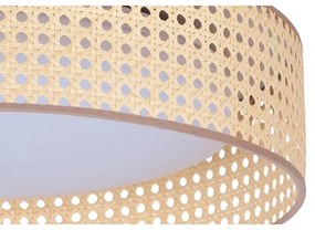 Duolla - LED Mennyezeti lámpa ROLLER LED/24W/230V átm. 45 cm rattan