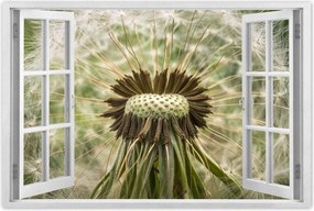 Poszterek 60x40 Pitypang Virág Virágok