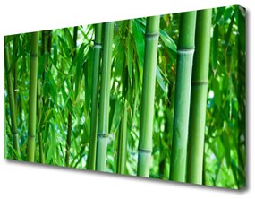Canvas kép Bamboo Stem Plant 140x70 cm