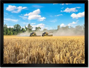 Poszterek keretben 40x30 Két fűnyíró kombájn