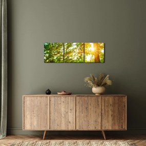 Kép - Sunny Forest (órával) (90x30 cm)