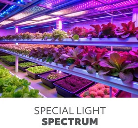 LED állítható asztali növénylámpa VITARO 3xLED/10W/230V fekete