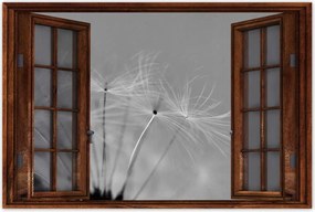 Poszterek 90x60 Pitypang Virág Virágok