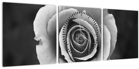 Egy rózsa képe (órával) (90x30 cm)