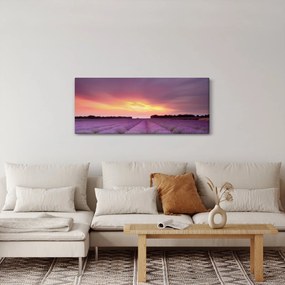 Kép - Levendula mező (120x50 cm)