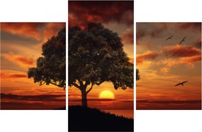 Fa képe naplementével (90x60 cm)