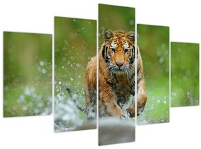 Kép - Futó tigris (150x105 cm)