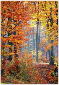 Poszterek 70x100 Arany ősz