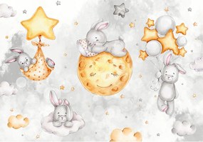 Fotótapéta Gyerekeknek Nyuszi csillagok 416x254