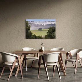 Egy kép a rétről egy fával (90x60 cm)