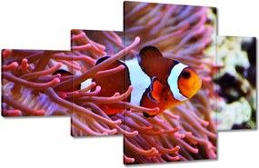 Vászonkép 130x80 Narancssárga hal Rafa