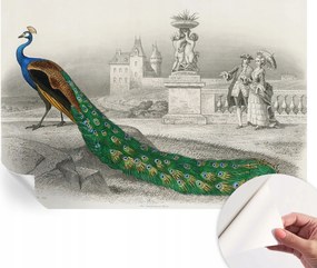 Fotótapéta Fali tapéta Hálószobába és Nappaliba Színes tollak 152x104 cm