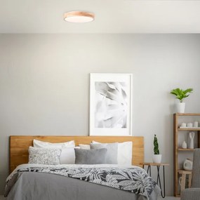 Brilliant - LED mennyezeti lámpa SLIMLINE LED/24W/230V Ø 34,5 cm gumifa