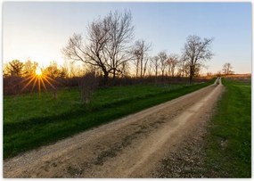 Poszterek A0 Szint Mezei út Fák Mezők