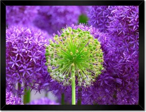 Poszterek keretben 40x30 Zöld virág