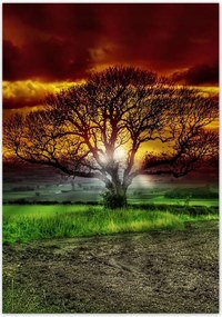 Poszterek 70x100 Varázslatos fa tájkép