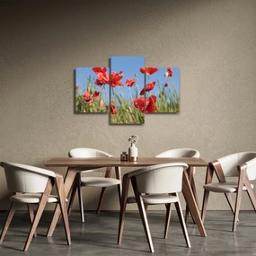Kép - Pipacsok (90x60 cm)