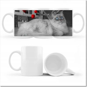 Fotó bögre Ragdoll macska