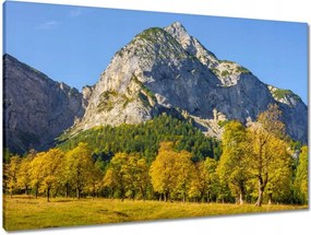 Vászonkép 90x60 Hegyi táj tiszta égbolttal Fák a hegyekben