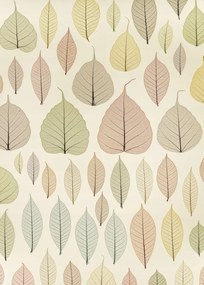 Poszter 50x70cm Csontváz levelek, Assaf Frank