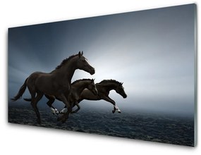 Üvegkép lovak Állatok 100x50 cm