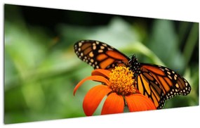 Pillangó képe a virágon (120x50 cm)