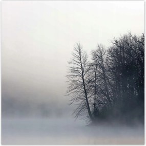 Poszterek 100x100 Ködös erdő Tél