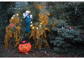 Retlux - LED kültéri dekoráció HALLOWEEN LED/3xAA/meleg fehér IP44 pumpkin