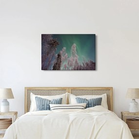 Az aurora borealis képe fagyos fák felett (90x60 cm)