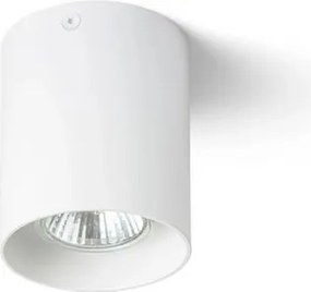 RENDL R12729 MANTOVA I Hengeres Mennyezeti Lámpa 95 IP20