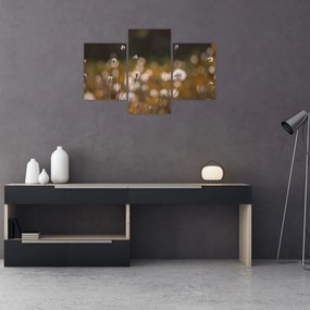 Kép - Gyapotfűvel borított rét N⁰2 (90x60 cm)