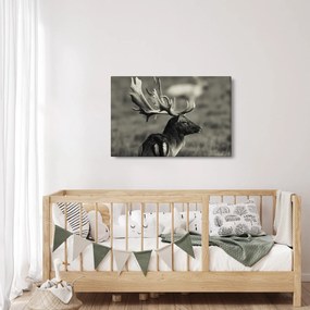 Kép - Szarvas (90x60 cm)