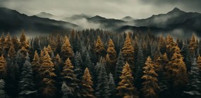 Poszter 91,3x44,5cm Ködös reggel