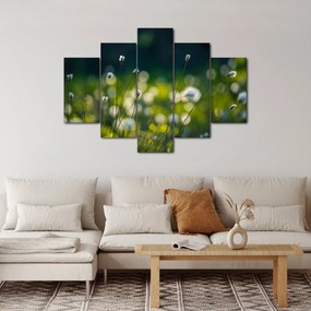 Kép - Fű (150x105 cm)
