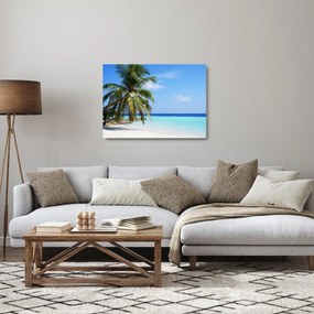 Pálmafák a strandon képe (üvegen) (70x50 cm)