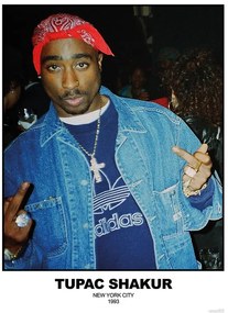 Plakát Tupac Shakur - N.Y.C 1993, (59.4 x 84.1 cm)