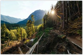 Poszterek 120x80 Hegyek Napfény Erdő Ösvény