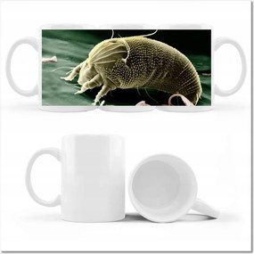 Fotó bögre Állatok