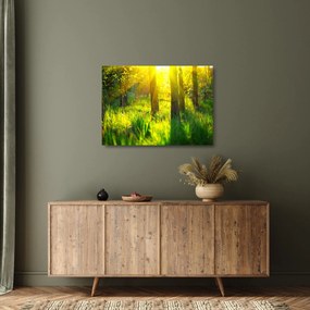 Kép - Az erdő tavaszi ébredése (üvegen) (70x50 cm)
