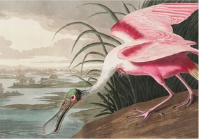 Flizelin tapéta Divatos 3D fali ragasztó Egzotikus madár 312x219 Ragasztó