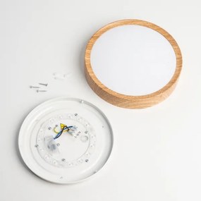 BRILAGI - LED mennyezeti lámpa NATURA LED/12W/230V 4000K átm. 26,3 cm
